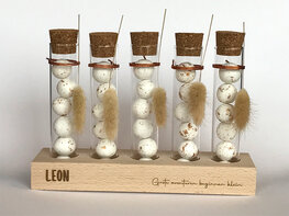 Proefbuishouder gegraveerd