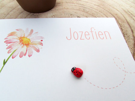 Geboortekaartje Jozefien met houten lieveheersbeestje