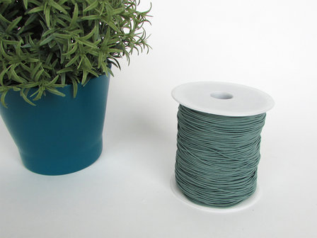 Elastisch koord turquoise