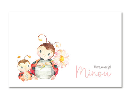 Geboortekaartje Minou met lieveheersbeestje