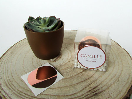 Ronde sticker rose gold