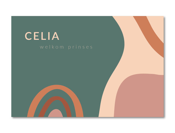 Geboortekaartje Celia