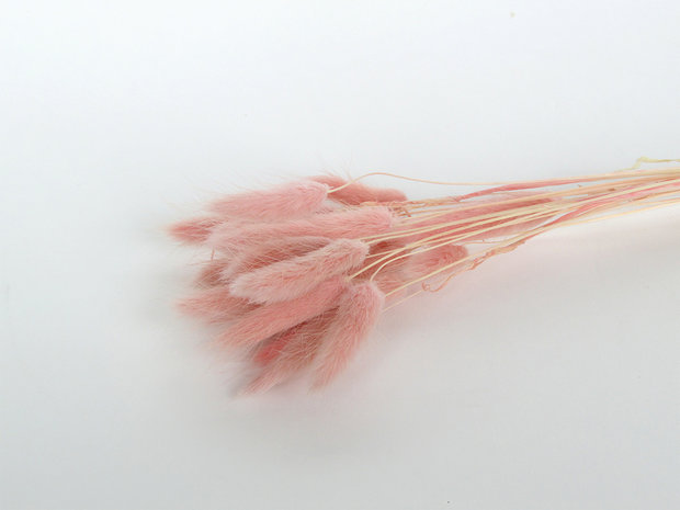 doopsuiker droogbloemen roze