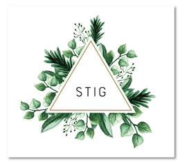 Geboortekaartje Stig