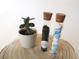 Glazen koker met kurk • 12 cm