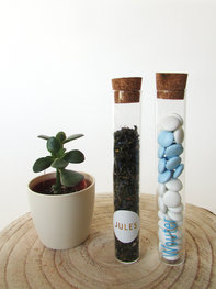 Glazen koker met kurk • 15 cm