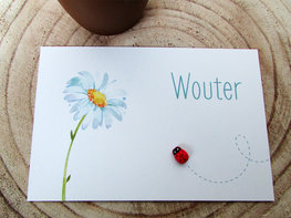 Geboortekaartje Wouter