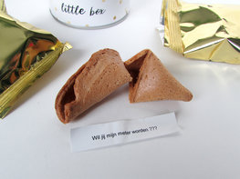 Fortune cookie Wil jij mijn meter worden?