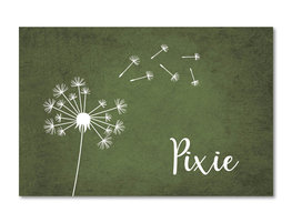 Geboortekaartje Pixie Geboortekaartje Pixie