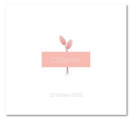 Geboortekaartje Cézanne Geboortekaartje Cézanne