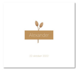 Geboortekaartje Alexander Geboortekaartje Alexander