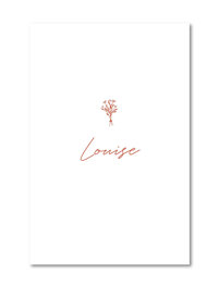 Geboortekaartje Louise Geboortekaartje Louise