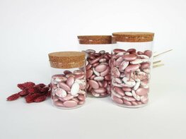 Glazen pot met kurken deksel (groot model)