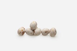 Mini eitjes goud gespikkeld