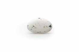 Suikerbonen zijdegroen gespikkeld