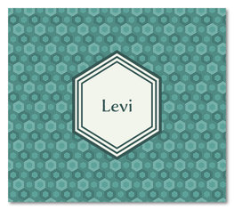 Geboortekaartje Levi