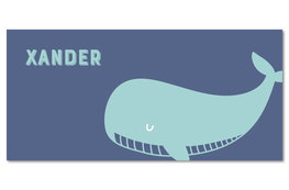 Geboortekaartje Xander