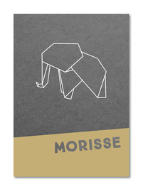 Geboortekaartje Morisse