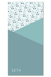 Geboortekaartje Seth