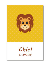 Geboortekaartje Chiel