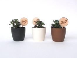 Houten plantenprikker (gegraveerd)