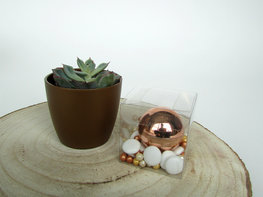 Lippenbalsem rose gold